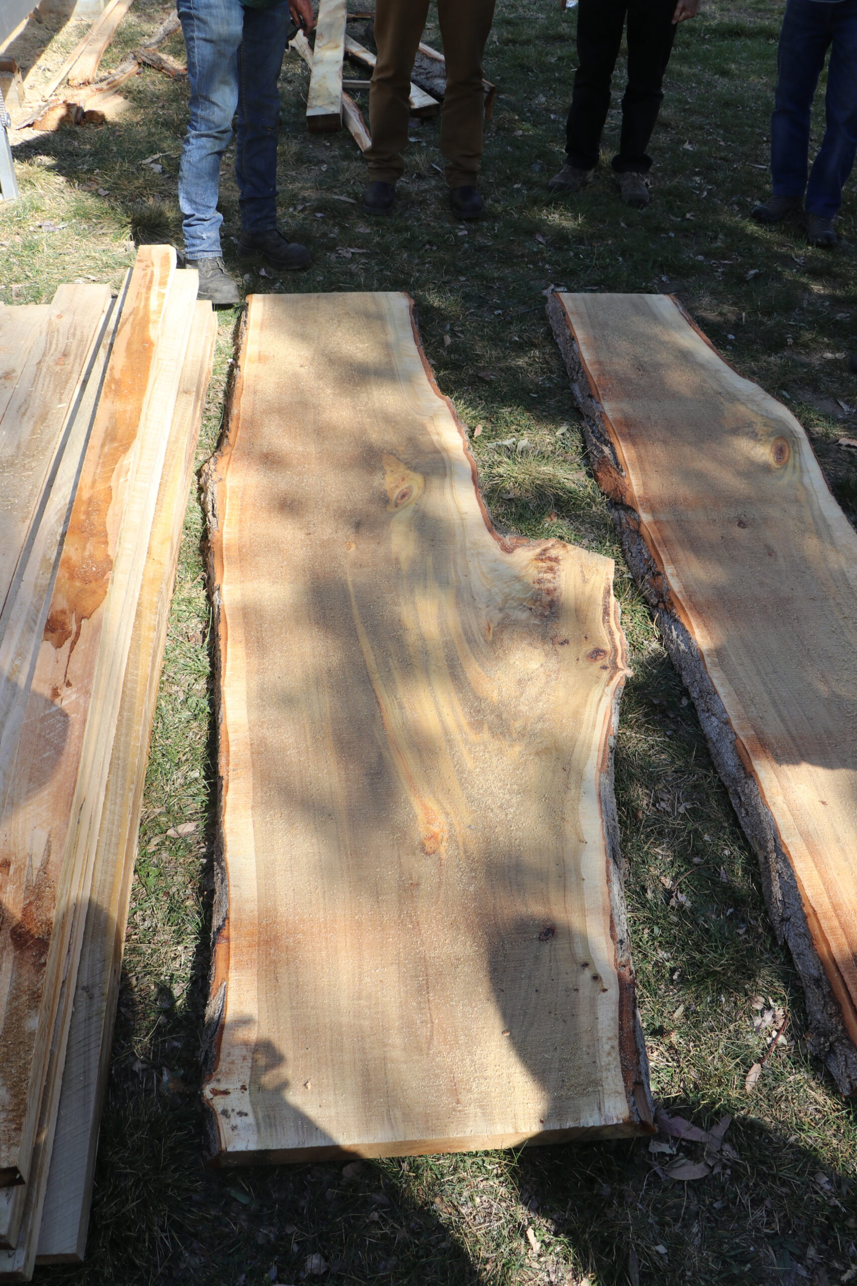 Workshop Gallery - Urban Timber Rescue